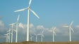 Imagem de Produção de energia sustentável (vídeo)