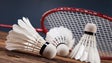 Imagem de Fernando Silva esteve na Madeira para um estágio com os atletas de badminton