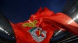 Imagem de Jogador da equipa principal do Benfica está infetado com a Covid-19