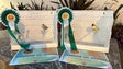 Madeira tem campeões do mundo em ornitologia (vídeo)