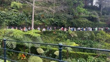 Imagem de Fila para os carreiros do Monte vai até ao Largo da Fonte (vídeo)