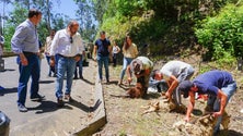 Imagem de PS quer o regresso ordenado e controlado do gado às serra (áudio)