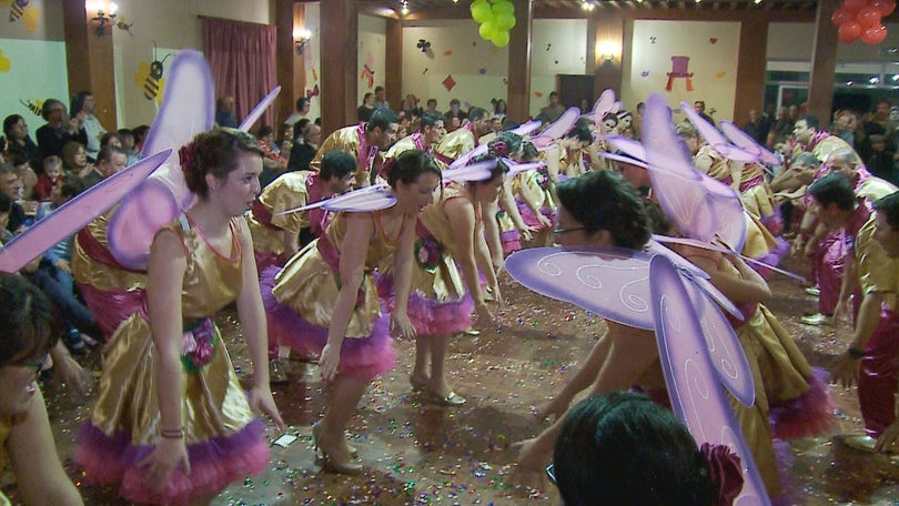Imagem de Apoios ao Carnaval