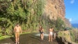 Turistas e autoridades ignoram perigos da cascata dos Anjos (vídeo)