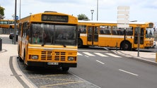 Imagem de Horários do Funchal ajustou as carreiras de autocarros para o novo ano letivo (Áudio)