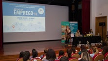 Imagem de Programa de empreendedorismo de desempregados na Madeira criou 423 postos de trabalho