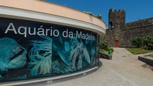Imagem de Aquário da Madeira gratuito no mês de junho