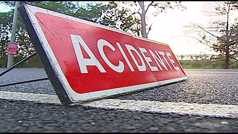 Imagem de Homem morre ao ser colhido por mota quando saía da sua viatura no Funchal