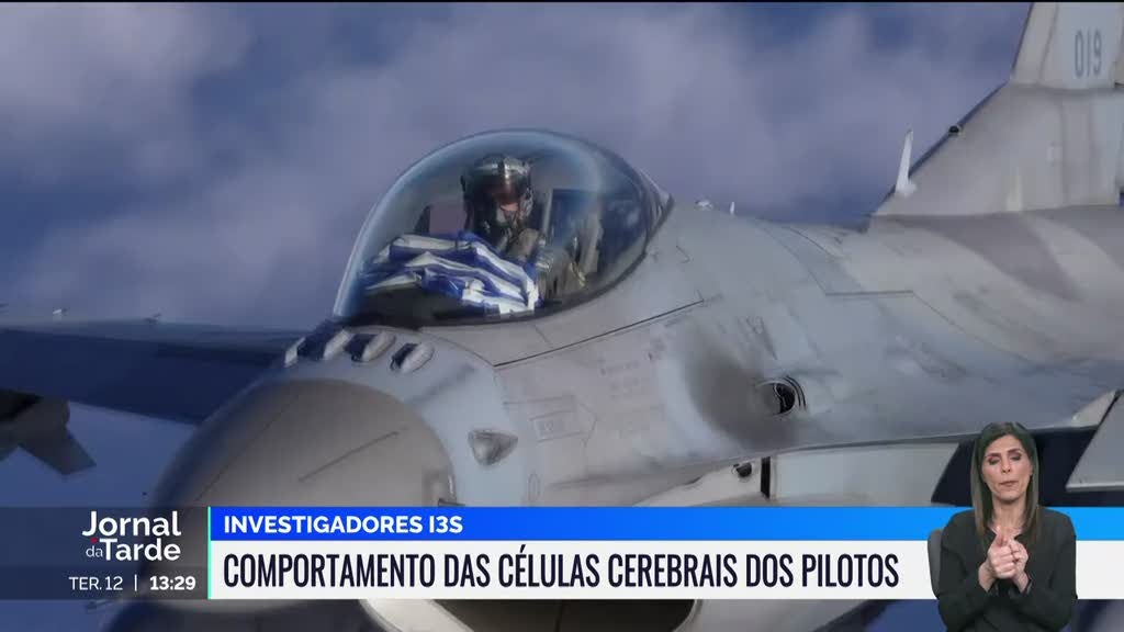 Comportamento das células cerebrais dos pilotos em estudo