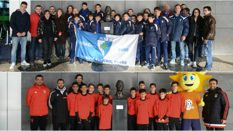 Imagem de Benfica e Anadia já estão na Madeira para o Ponta do Sol Cup 2018