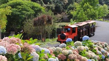 Imagem de Parque Temático da Madeira com novos simuladores