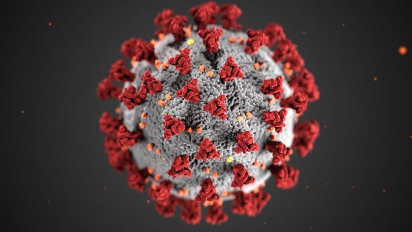 Imagem de Trinta e três casos da variante Ómicron detetados na Europa