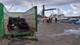 Imagem de Porto de pesca do Caniçal foi alvo de uma ação de limpeza (Vídeo)