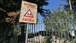 Sindicato dos Professores da Madeira estima que a adesão à greve ronda os 50 por cento (áudio)