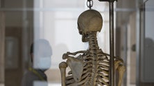 Imagem de Doar o corpo à ciência é fundamental para o ensino