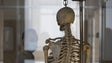 Imagem de Doar o corpo à ciência é fundamental para o ensino