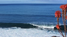 Imagem de Mar agitado e vento deixam Madeira sob aviso amarelo