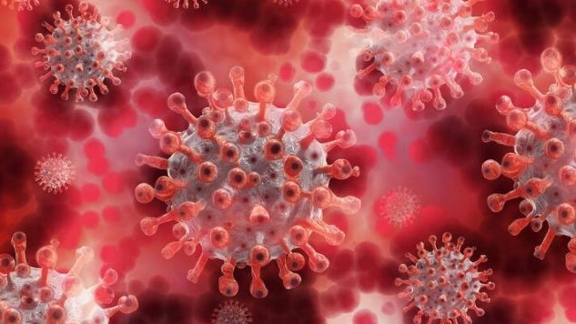 Imagem de INSA não deteta novos casos da variante Ómicron em amostragens aleatórias