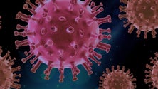 Imagem de Epidemiologista admite infeção natural se Ómicron causar menos doença grave