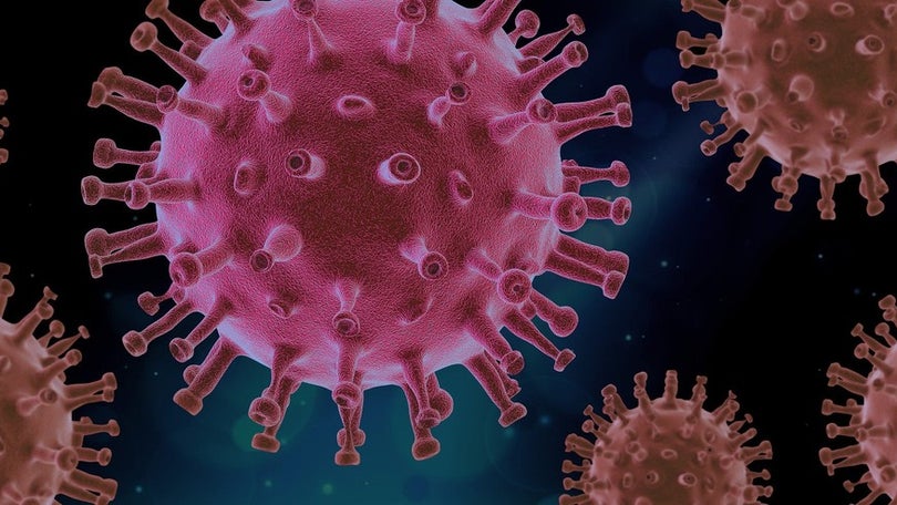 Imagem de Epidemiologista admite infeção natural se Ómicron causar menos doença grave