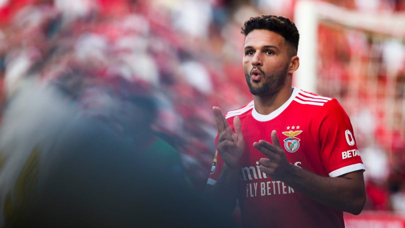 Imagem de Gonçalo Ramos chamado pela primeira vez à seleção principal