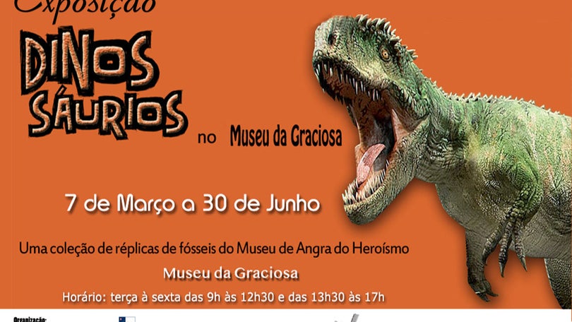 Imagem de Coleção de fósseis