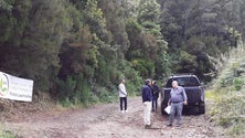 Imagem de Laurissilva bem natural em perigo (vídeo)
