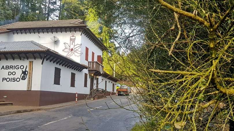 Aguaceiros fracos até ao meio da tarde nas terras altas