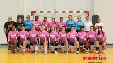 Imagem de Madeira Andebol SAD regressa aos treinos na segunda