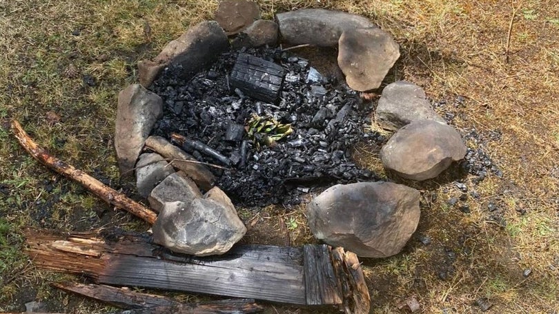Imagem de Polícia Florestal identifica casal a fazer fogueira no Paul da Serra