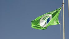 Imagem de Escolas do Porto Santo exibem bandeira verde (Vídeo)
