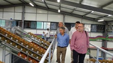 Imagem de JPP quer que os produtores beneficiem do excedente de produção