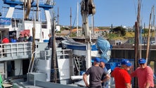 Imagem de Barcos até 20 metros só podem capturar 12 toneladas de atum por dia (áudio)