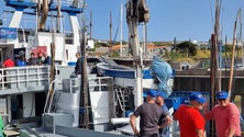 Barcos até 20 metros só podem capturar 12 toneladas de atum por dia (áudio)