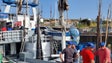 Imagem de Barcos até 20 metros só podem capturar 12 toneladas de atum por dia (áudio)