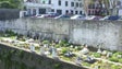 Cemitérios do Porto da Cruz estão desativados