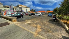 Imagem de Porto Santo centraliza comércio de produtos regionais