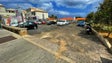 Imagem de Porto Santo centraliza comércio de produtos regionais