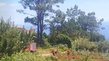Imagem de Incêndio nos Prazeres em fase de rescaldo (Vídeo)