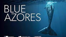 Imagem de Blue Azores debate uso sustentável dos recursos marinhos (Vídeo)