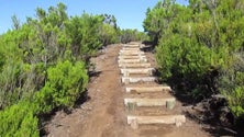 Imagem de Suspensas as buscas para encontrar turista desaparecido
