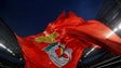 Imagem de Benfica quer punição exemplar para deliquentes que estão a mais no futebol
