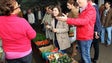 Imagem de Sara Cerdas promete atenção especial à agricultura