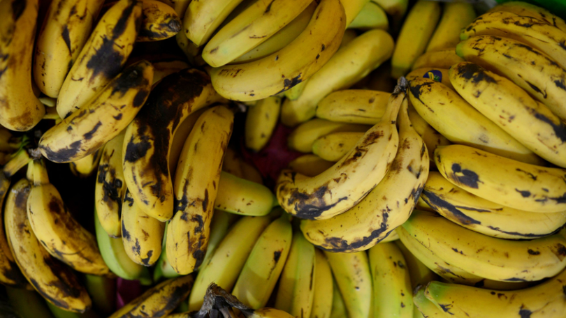 Imagem de Duas toneladas de cocaína encontradas em carregamento de bananas