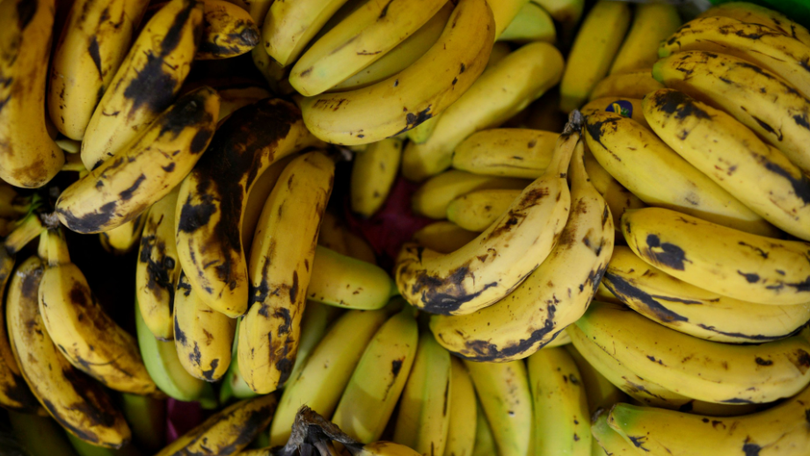 Duas toneladas de cocaína encontradas em carregamento de bananas