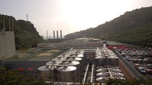 Imagem de Empresa de Cervejas da Madeira vai suspender a produção