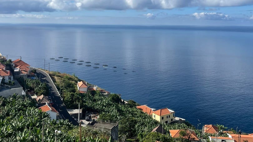 Imagem de Produção em aquicultura decresceu 20,2% em termos homólogos