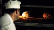 Imagem de Preço do pão pode subir em 2020