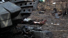 Imagem de Guerra no leste já fez pelo menos 1.611 mortos