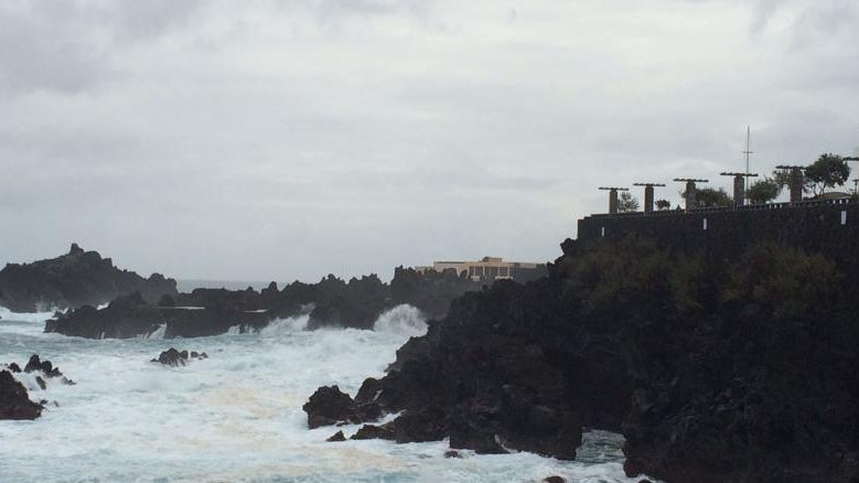 Imagem de Capitania do Funchal emite aviso de vento forte